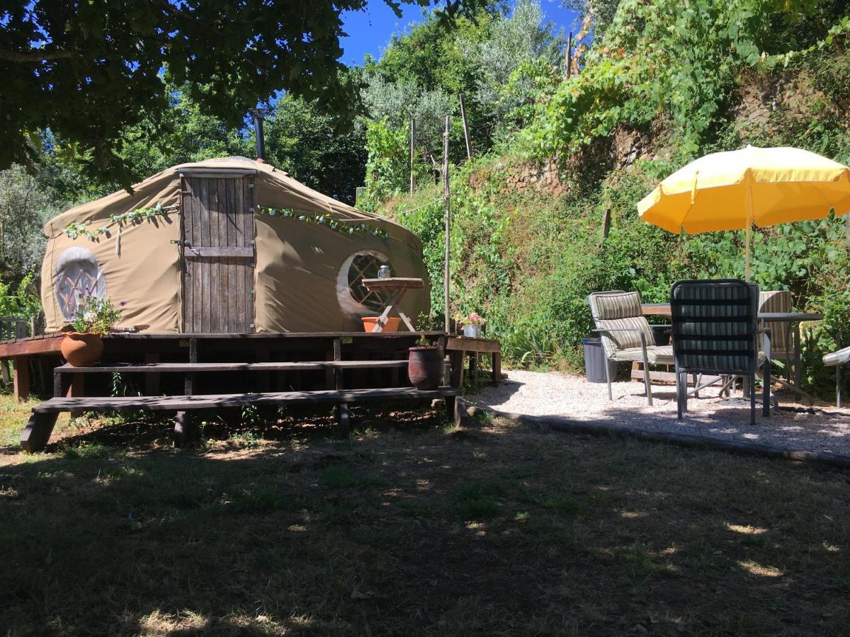 Star Gazing Luxury Yurt With River Views, Off Grid Eco Living Vale do Barco Екстериор снимка